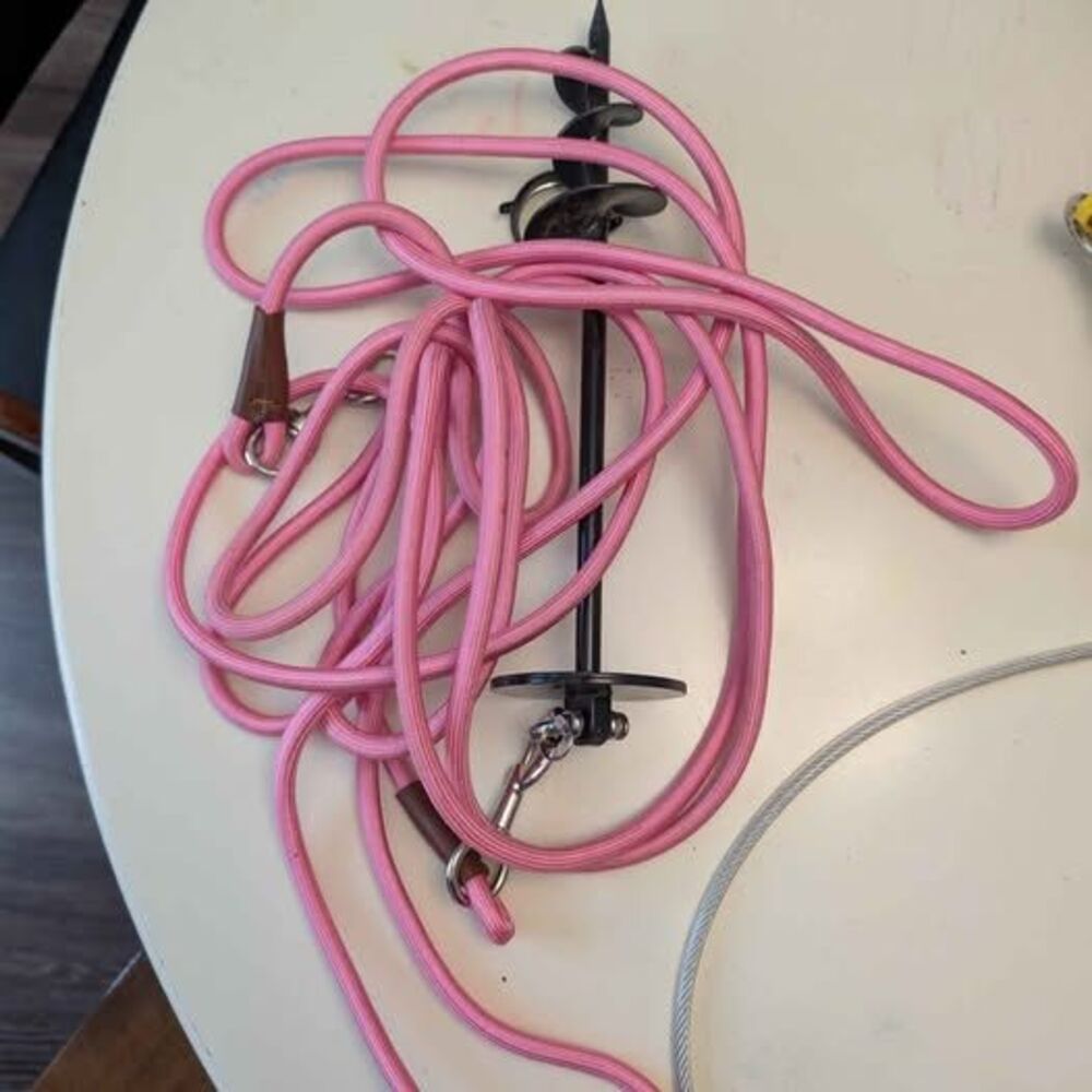 Dog Tie-Out Stake with Pink Lead Rope